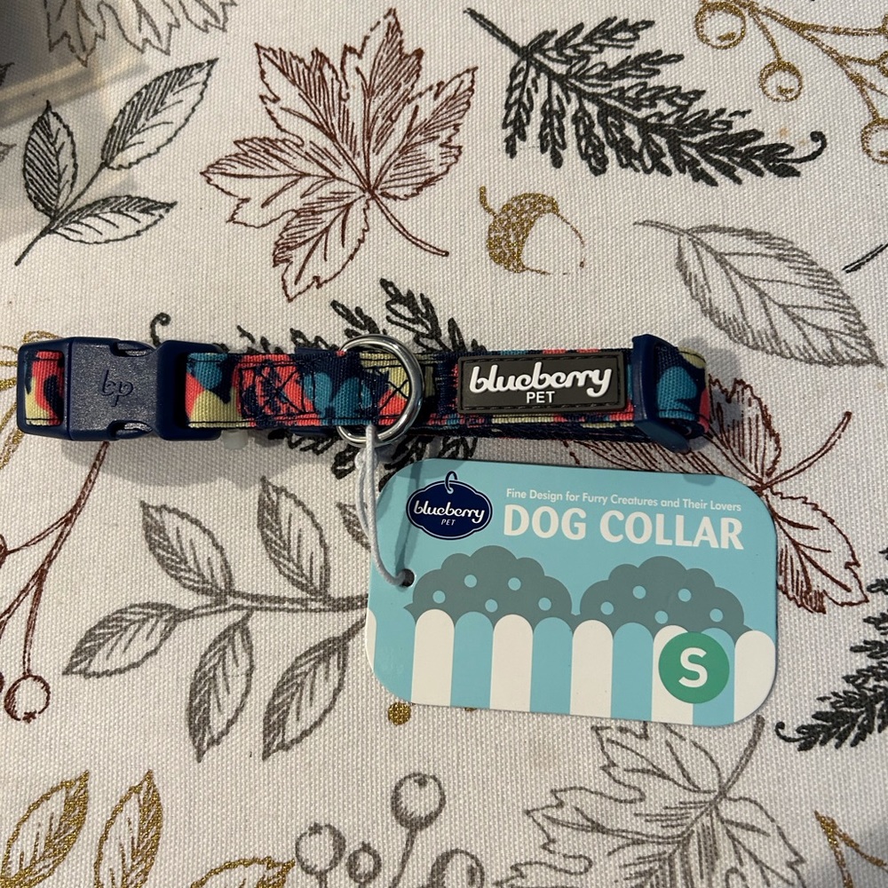 Blueberry Pet collar for dog. Size S. Multi color.  NEW WITH TAGS